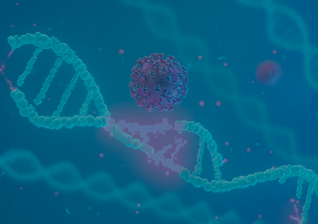 Cas9 ELISA试剂盒