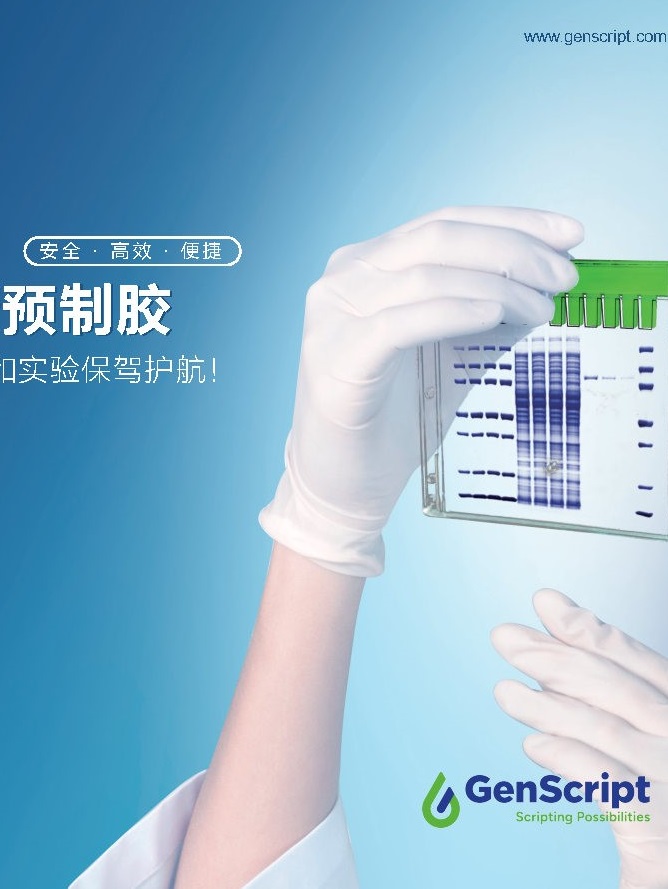 预制胶应用手册