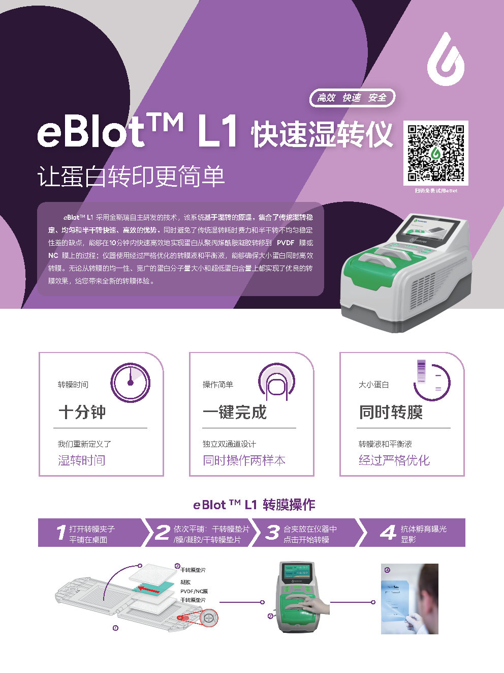 eBlot™快速蛋白湿转仪