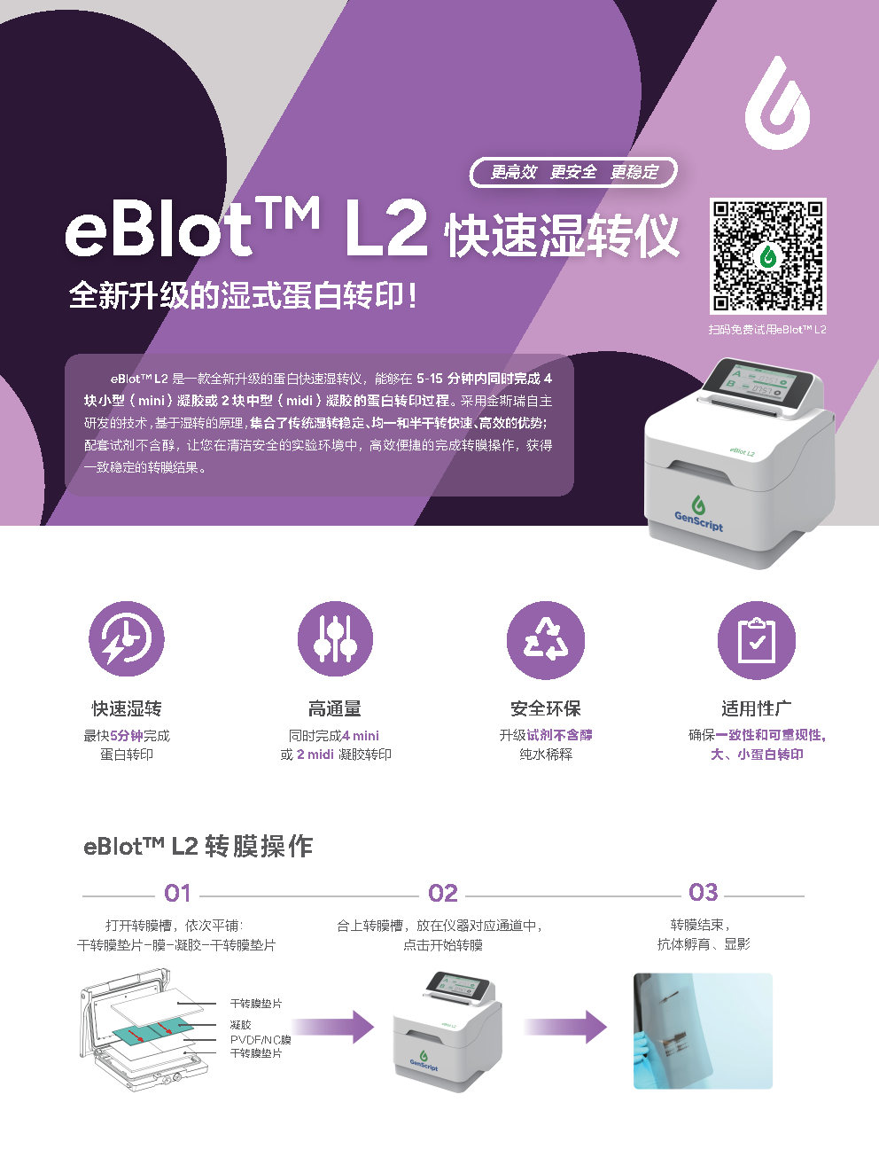 eBlot™ L2 快速湿转仪
