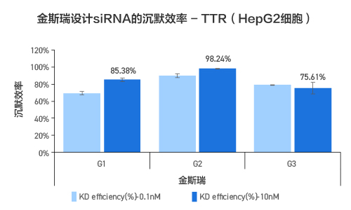 星空体彩app官方siRNA 3保1合成服务数据（TTR基因）